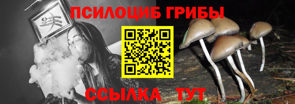 Псилоцибиновые грибы ЛСД Прокопьевск
