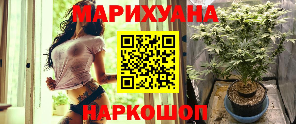 Каннабис планчик Прокопьевск
